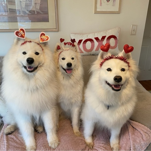 Meet your Posher, Linnea - Picture 9 of 14